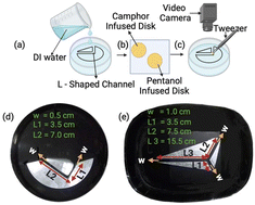 Graphical abstract: Surface tension gradient invoked path selection