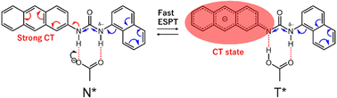 Graphical abstract: π-Conjugation effects on excited-state intermolecular proton-transfer reactions of anthracene–urea derivatives in the presence of acetate anions