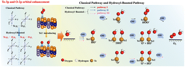 Graphical abstract: Enhanced oxygen evolution reaction activity on two-dimensional vdW ferromagnetic Cr2Ge2Te6 through synergism between two active sites