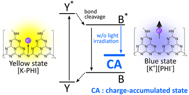 Graphical abstract: Mechanism of charge accumulation in potassium poly(heptazine imide)
