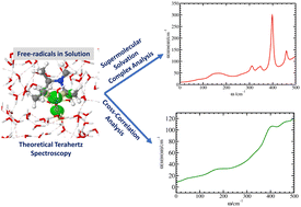 Graphical abstract: Theoretical terahertz spectroscopy of free radical solutes in solution: an EPR spin probe in water