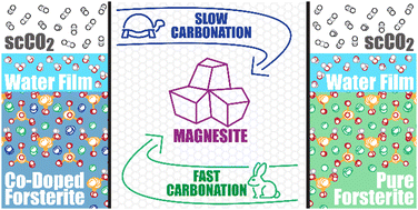 Graphical abstract: Cobalt substitution slows forsterite carbonation in low-water supercritical carbon dioxide