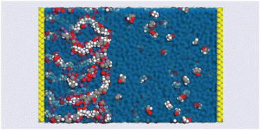 Graphical abstract: All-atom molecular dynamics simulations showing the dynamics of small organic molecules in water–solvated polyelectrolyte brush layers