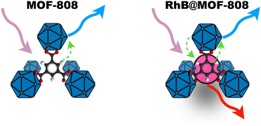 Graphical abstract: Unveiling MOF-808 photocycle and its interaction with luminescent guests