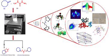 Graphical abstract: Synthesis, crystal structure analysis, computational modelling and evaluation of anti-cervical cancer activity of novel 1,5-dicyclooctyl thiocarbohydrazone