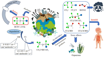 Graphical abstract: Theoretical study on the mechanisms, kinetics and risk assessment of OH radicals and Cl atom initiated transformation of HCFC-235fa in the atmosphere