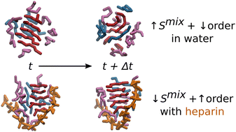 Graphical abstract: Unravelling heparin's enhancement of amyloid aggregation in a model peptide system