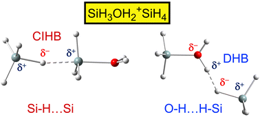 Graphical abstract: IR spectrum of SiH3OH2+SiH4: cationic OH⋯HSi dihydrogen bond versus charge-inverted SiH⋯Si hydrogen bond