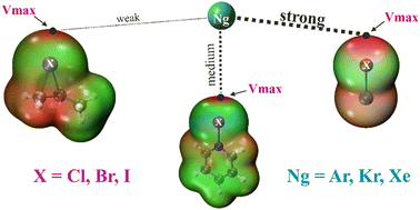Graphical abstract: From weak to strong interactions between halogen and noble gas atoms in halonium complexes
