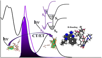 Graphical abstract: Unraveling energy transfer and fluorescence quenching dynamics in biomolecular complexes: a comprehensive study of imiquimod–rifampicin interaction
