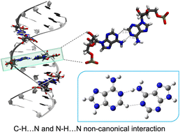 Graphical abstract: Intermolecular hydrogen bonding delineates the stability of non-canonical adenine base pairs: a first-principles study