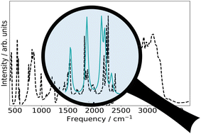 Graphical abstract: Tailored anharmonic potential energy surfaces for infrared signatures