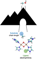Graphical abstract: Quantum effects in CH activation with [Cu2O2]2+ complexes