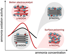 Graphical abstract: Ammonia electro-oxidation on nickel hydroxide: phases, pH and poisoning