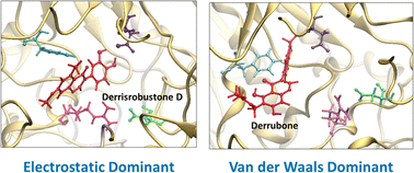 Graphical abstract: The potentiality of isoflavones from Derris robusta (DC.) Benth. against α-glucosidase