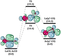 Graphical abstract: On the ground and excited electronic states of LaCO and AcCO