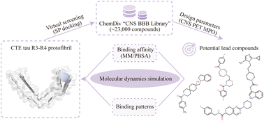 Graphical abstract: Identification of novel tau positron emission tomography tracers for chronic traumatic encephalopathy by comprehensive in silico screening and molecular dynamics simulation