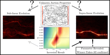 Graphical abstract: Identifying winner-takes-all emergence in random nanowire networks: an inverse problem