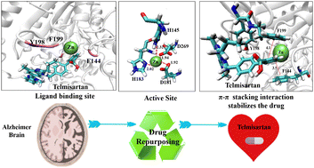 Graphical abstract: Computational insights in repurposing a cardiovascular drug for Alzheimer's disease: the role of aromatic amino acids in stabilizing the drug through π–π stacking interaction