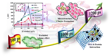 Graphical abstract: Capturing ultrafast energy flow of a heme protein in crowded milieu