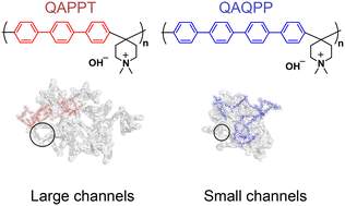 Graphical abstract: Atomic insights into the ion-conducting channels of poly(arylene piperidinium) anion exchange membranes