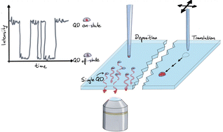 Graphical abstract: Controlled encapsulation of colloidal semiconductor quantum dots in a microdroplet