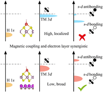 Graphical abstract: Enhancement of single-atom catalytic activity by the synergistic effect of interlayer charge transfer and magnetic coupling in an electride-based heterostructure