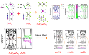 Graphical abstract: Tunable valley polarization and high Curie temperature in two-dimensional GdF2/WSe2 van der Waals heterojunctions
