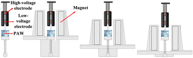 Graphical abstract: Magnetic field enhanced discharge and water activation of atmospheric pressure plasma jet: effect of the assistance region and underlying physicochemical mechanism