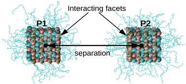 Graphical abstract: Ligand-mediated interaction in a dispersion of lead-halide perovskite nanocubes: implications on directed structures in equilibrium