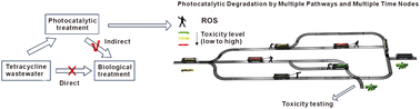 Graphical abstract: Based on T.E.S.T toxicity prediction and machine learning to forecast toxicity dynamics in the photocatalytic degradation of tetracycline
