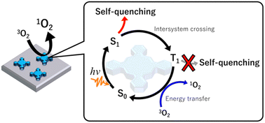 Graphical abstract: Effect of excited state self-quenching on singlet oxygen photogeneration using nanosheet surface assembled zinc phthalocyanine
