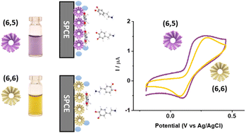 Graphical abstract: Single-chirality single-wall carbon nanotubes for electrochemical biosensing