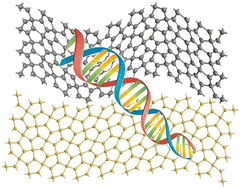 Graphical abstract: In-depth electronic behavior of pentagraphene and pentagonal silicene sheets for DNA nucleobase detection: implications for genetic biomarker sensing