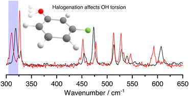 Graphical abstract: Gas-phase, conformer-specific infrared spectra of 3-chlorophenol and 3-fluorophenol
