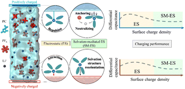 Graphical abstract: Solvation-mediated adsorption mechanism of solvated lithium ions at a charged solid–liquid interface for electrochemical energy storage: atomic scale investigation and insights