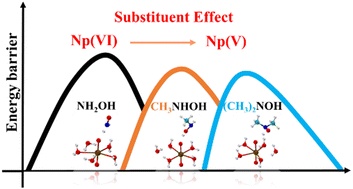Graphical abstract: Theoretical study on the kinetic behavior of Np(vi) reduction by hydroxylamine and its derivatives: substituent effect