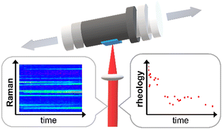 Graphical abstract: Building a cost-effective mechanochemical Raman system: improved spectral and time resolution for in situ reaction and rheology monitoring