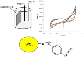 Graphical abstract: A novel efficient electrochemical sensor for detecting paracetamol contaminants in polluted water using an active electrode from tungsten oxide nanoplates