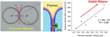 Graphical abstract: Reconstitution of nanopores in bilayers of diblock and triblock copolymers