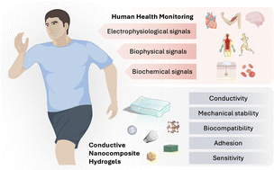 Graphical abstract: Advances in conducting nanocomposite hydrogels for wearable biomonitoring