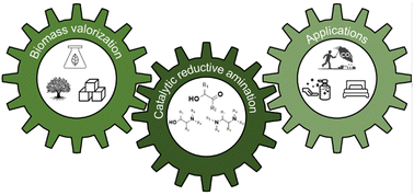 Graphical abstract: From sugars to aliphatic amines: as sweet as it sounds? Production and applications of bio-based aliphatic amines