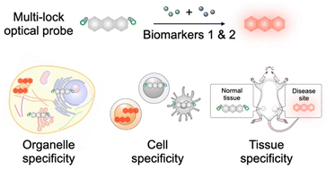 Graphical abstract: Enzyme-responsive, multi-lock optical probes for molecular imaging and disease theranostics