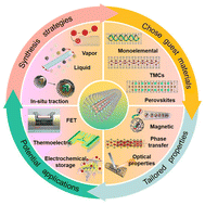 Graphical abstract: van der Waals one-dimensional atomic crystal heterostructure derived from carbon nanotubes