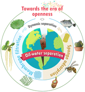 Graphical abstract: Bioinspired superwetting oil–water separation strategy: toward the era of openness
