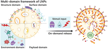 Graphical abstract: Engineered multi-domain lipid nanoparticles for targeted delivery