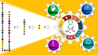 Graphical abstract: Amyloid inspired single amino acid (phenylalanine)-based supramolecular functional assemblies: from disease to device applications