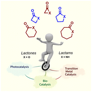 Graphical abstract: Synthesis of lactones and lactams via C(sp3)–H bond functionalization