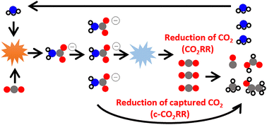 Graphical abstract: A tutorial on the modeling of the heterogenous captured CO2 electroreduction reaction and first principles electrochemical modeling
