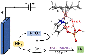 Graphical abstract: A cobalt molecular catalyst for hydrogen evolution reaction with remarkable activity in phosphate buffered water solution
